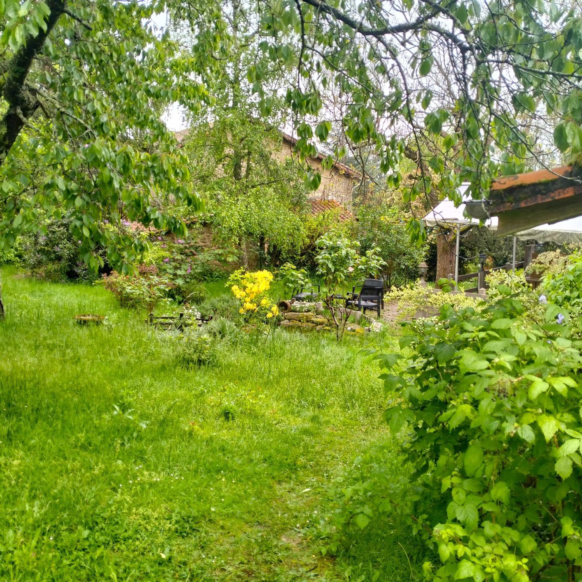 Chambres D'Hotes D'Antardieu Saint-Junien Bagian luar foto